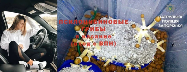 стаф Нязепетровск