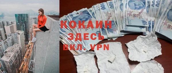 ГАЛЛЮЦИНОГЕННЫЕ ГРИБЫ Новозыбков