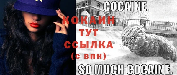 PSILOCYBIN Новокубанск