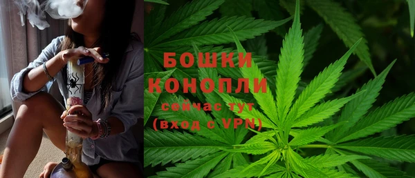 дмт Билибино