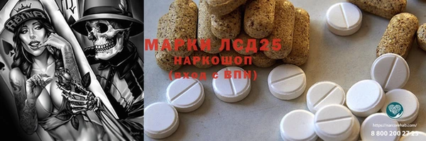 ГАЛЛЮЦИНОГЕННЫЕ ГРИБЫ Новозыбков