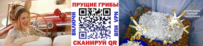 Псилоцибиновые грибы прущие грибы как найти закладки Западная Двина